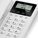 步步高(bbk) HCD213 固定电话机 免电池座机 来电显示 精致时尚 固话 家用办公 固定电话机