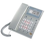 步步高(bbk) HCD6101 固定电话机 座机 固话 家用办公 夜光按键 双接口 (流光银) 固定电话机
