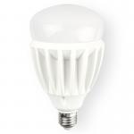 佛山照明（FSL）LED灯泡 大功率节能灯泡 30W 大口E27 6500K 日光色 自镇流荧光灯 灯泡/灯管类