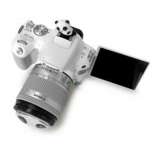 佳能（Canon）EOS 200D 单反相机 (EF 18-55mmf4- 5.6) 白色女神版