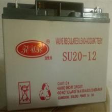 迪优特 SU20-12 20AH电池