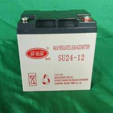 迪优特 SU24-12 电池