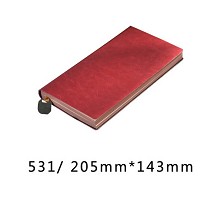 博文（BoWen） 531 软皮带吊牌记事本 商务办公笔记本 盒装糖果色本子 红色