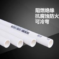 联塑（LESSO）32A线管 阻燃电工线管 PVC材质 单米售价